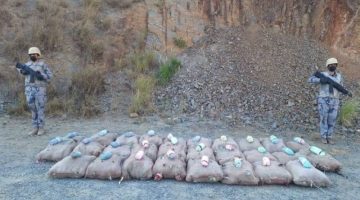 إحباط تهريب (504) كجم من القات بـ”الدائر”