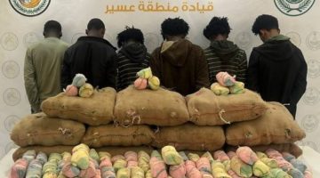 القبض على (6) مخالفين لتهريبهم (225) كجم من القات بـ”الربوعة”