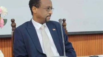 الحكومة السودانيَّة تحذِّر من تدخلات خارجيَّة لفرض حصار جويٍّ على «الفاشر»