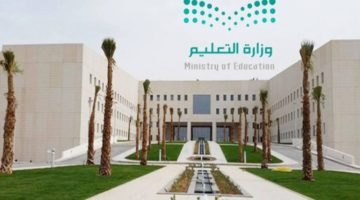 إطلاق الفرص التعليمية الشاغرة على 4 مراحل