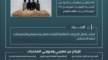 القبض على (4) مخالفين لتهريبهم (72) كجم من القات بـ”الدائر”