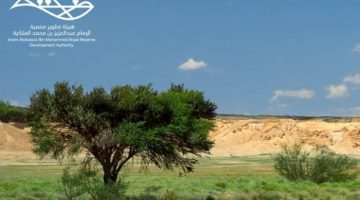 “محمية الإمام عبدالعزيز” تشدّد على منع الرعي دون ترخيص رسمي
