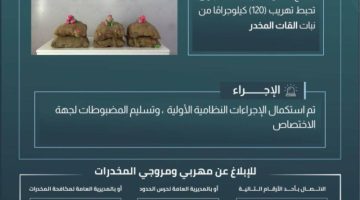 حرس الحدود بجازان يحبط تهريب 120 كيلوجرامًا من نبات القات المخدر