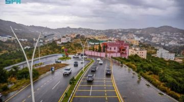 “الأرصاد”: أمطار متوسطة ورياح شديدة على منطقة الباحة